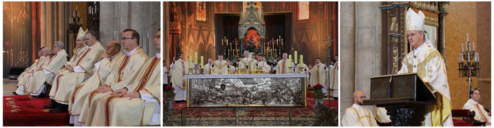 Nadbiskup Kutleša predvodio misno slavlje svetkovine Rođenja Gospodinova u Zagrebačkoj katedrali